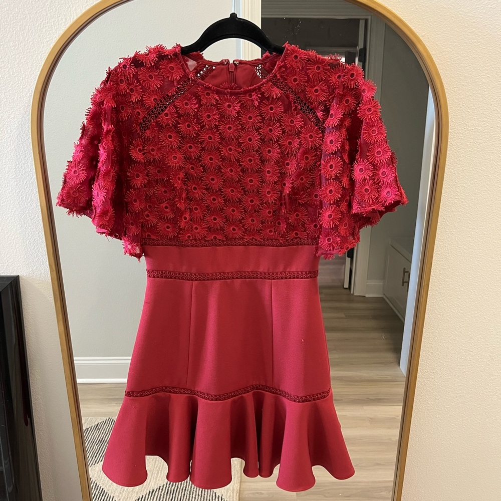 Beautiful Anthropologie Rosabelle Raspberry Dress - image 5